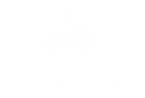 Armatura
